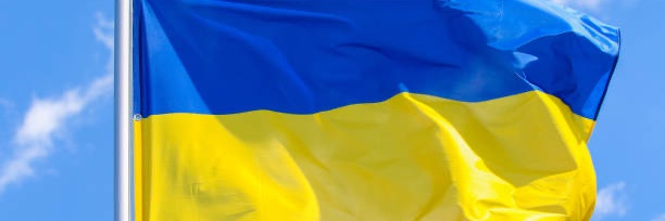 Amy Bernstein banner