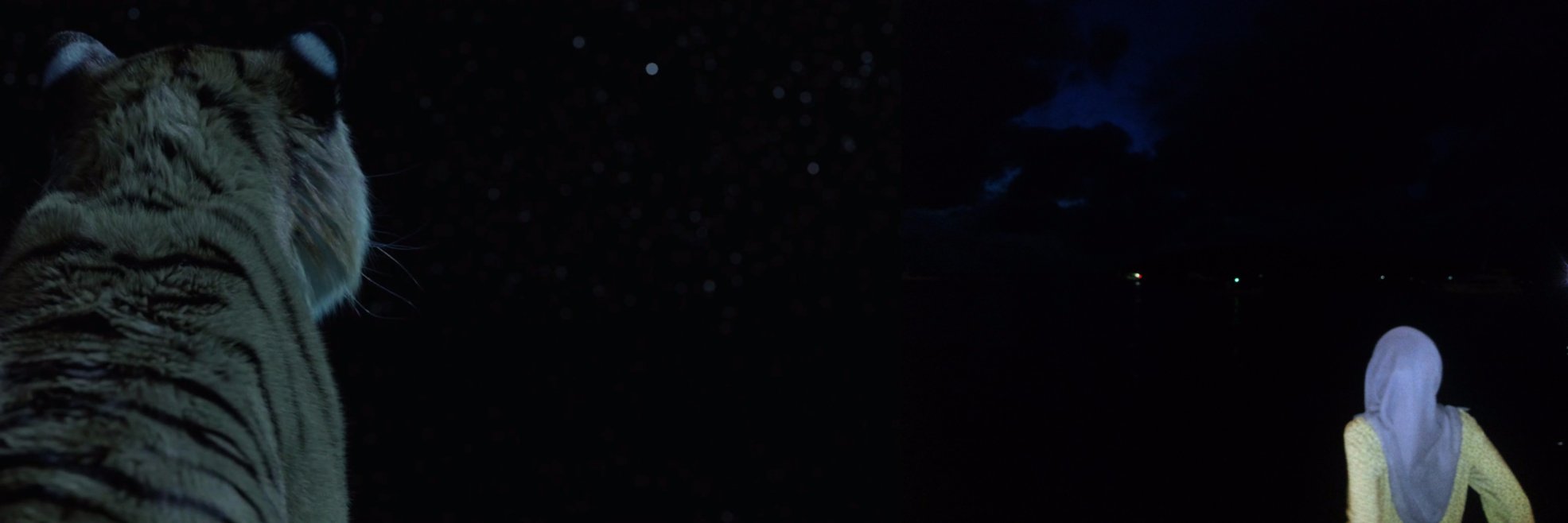 syd_az's profile banner image