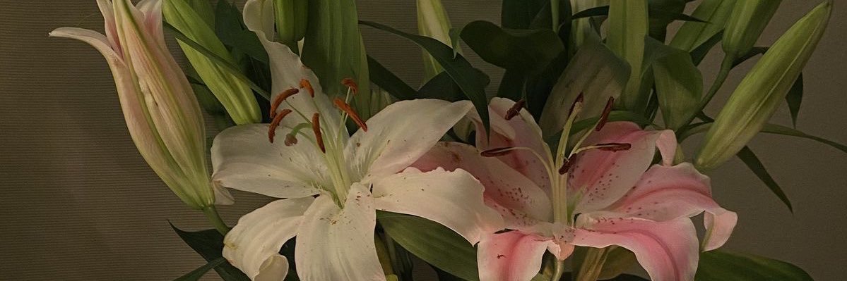 ريمان banner