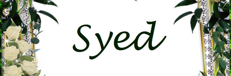 _syed_alam's profile banner image