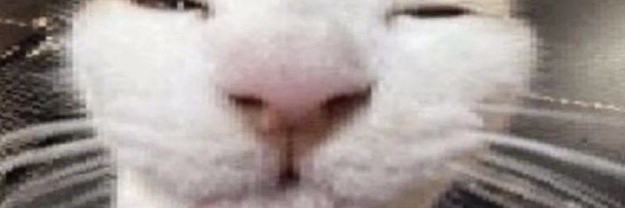 Ramonster06's banner