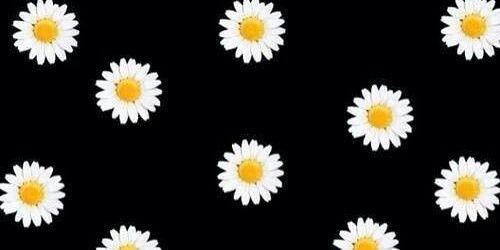 nopitadl2's profile banner image