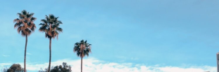 NotoriousAHB's profile banner image