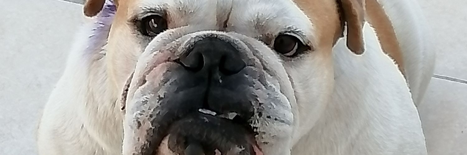 Fergalsa's profile banner image