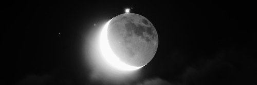 nliies's profile banner image