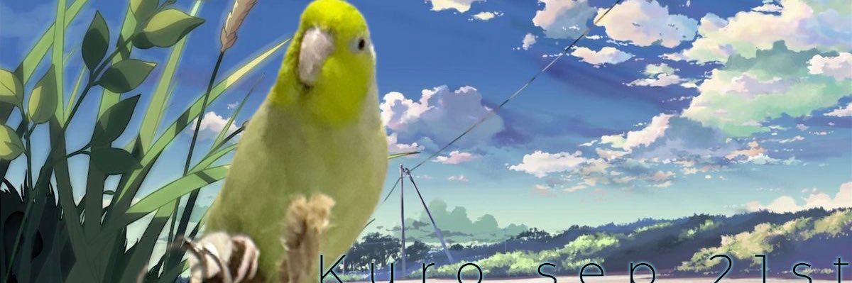 Koneko_cura's profile banner image