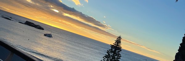 wolfinplainview Profile Banner