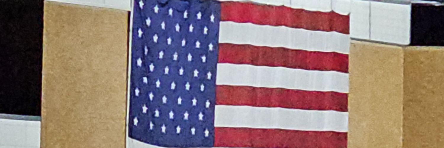 LisaShytowncub's profile banner image