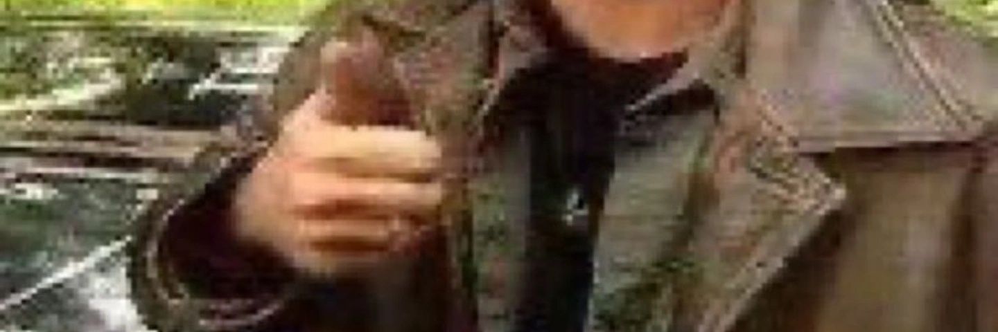 just dude banner
