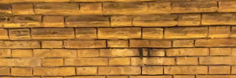 Acacia boy banner