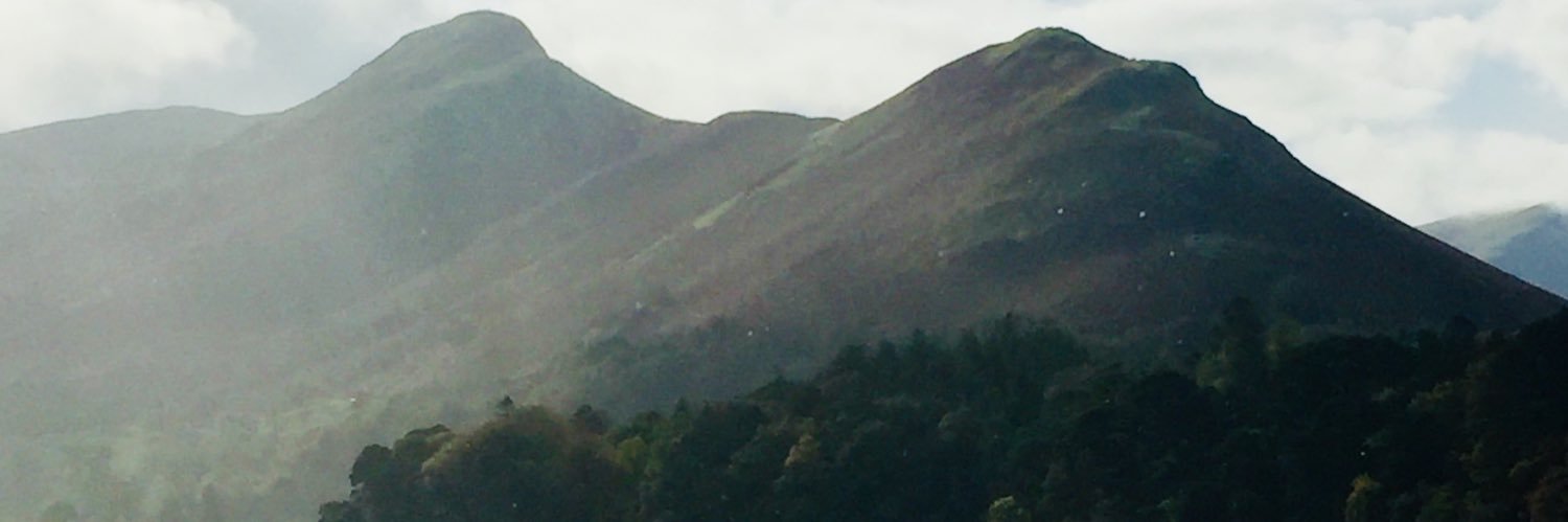 SarahRoxby's profile banner image