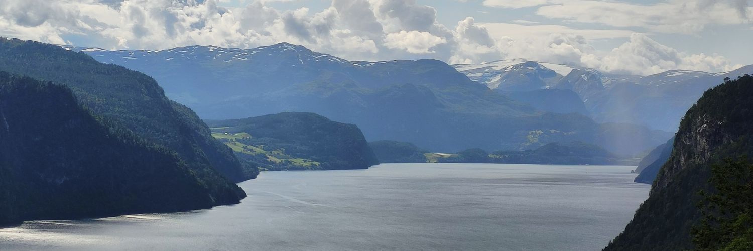 Florian Hesse banner