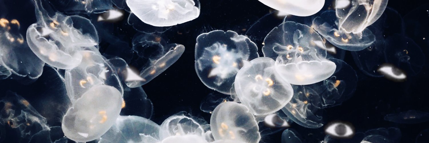 ᅠᅠ ᅠᅠ 𝚲𝗻𝗼𝗻𝘆𝗺𝗶𝘁𝘆。(TAKEOVER) banner