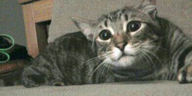 Sebastian Aguilera banner