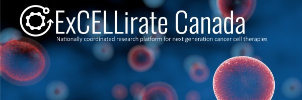excellirate Profile Banner