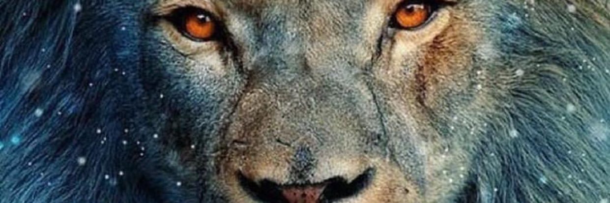 cirujanop64's profile banner image