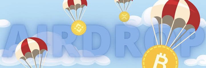 meltak🛸 banner