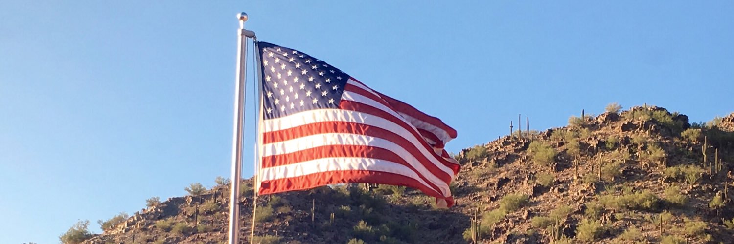 Christine Jones banner