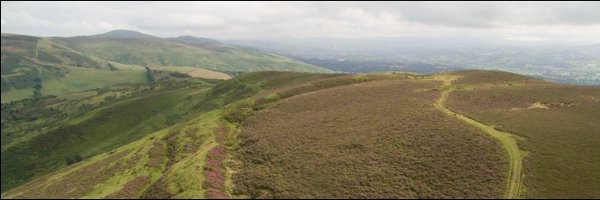 iarss2021 Profile Banner