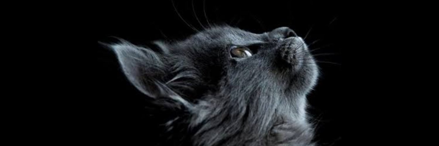 busrayiImaz's profile banner image