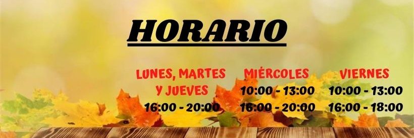 Biblioteca Municipal de Gallur banner