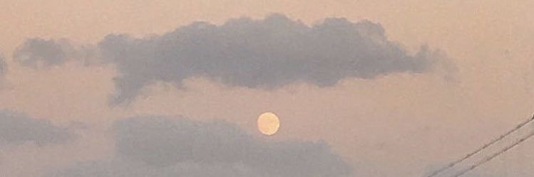 _bxrali's profile banner image