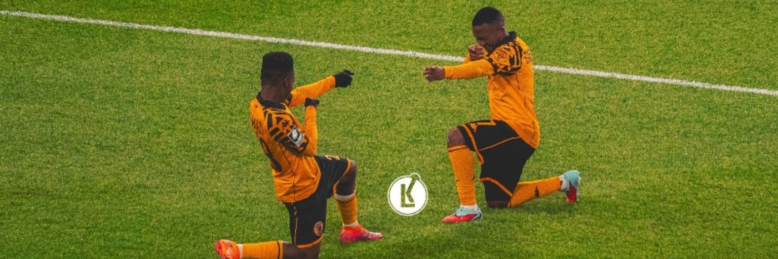 🇿🇦 banner