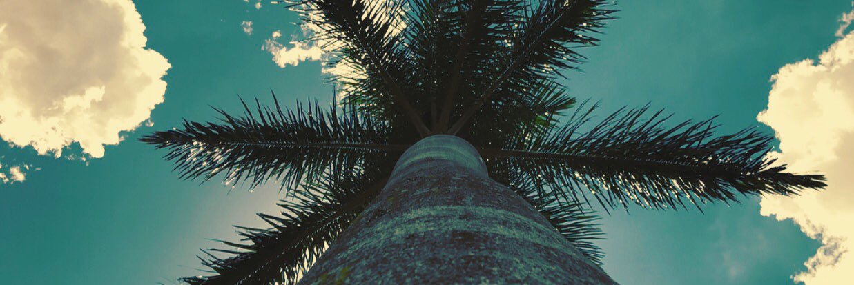 wesley gomes banner