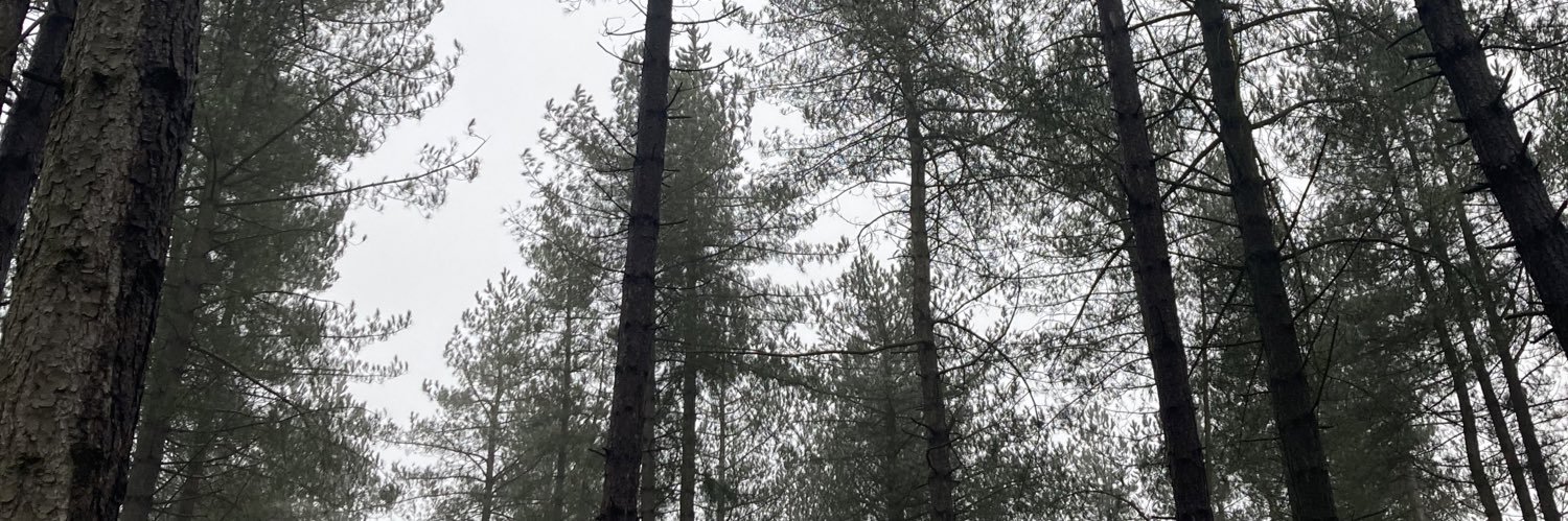 Charlotte Simms banner