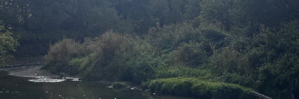 docileRoamer Profile Banner