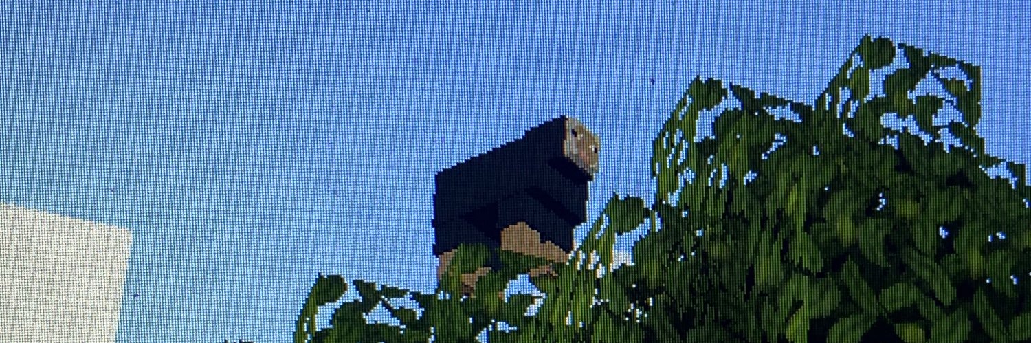 ланочка banner