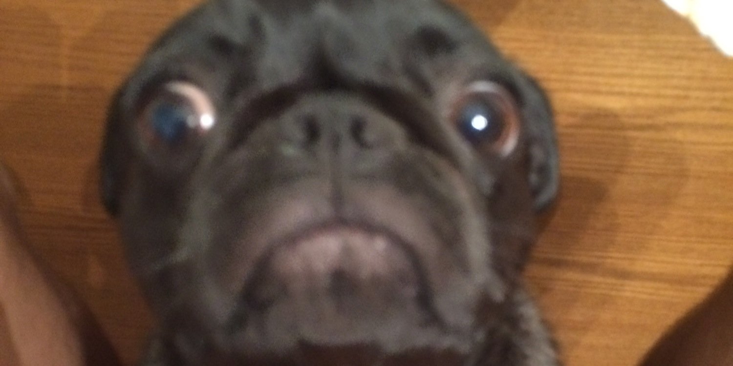 Bryant Northington banner