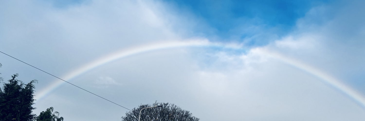 Laura Breen banner