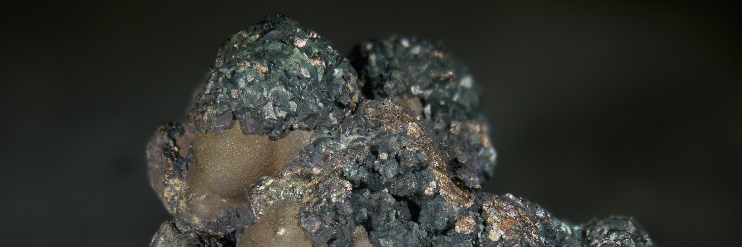 Coles_lab's profile banner image