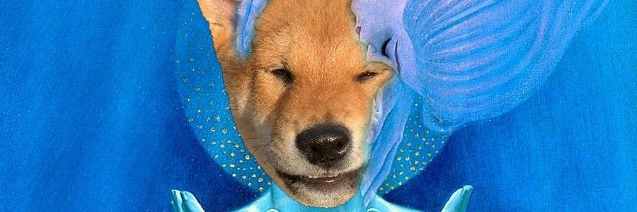 martiandoge.ᵉᵗʰ🐕🚀🔴 banner