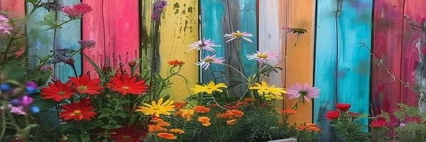 ADI_BAL_OLSUN Profile Banner