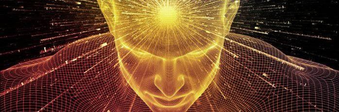 Locki Capital banner