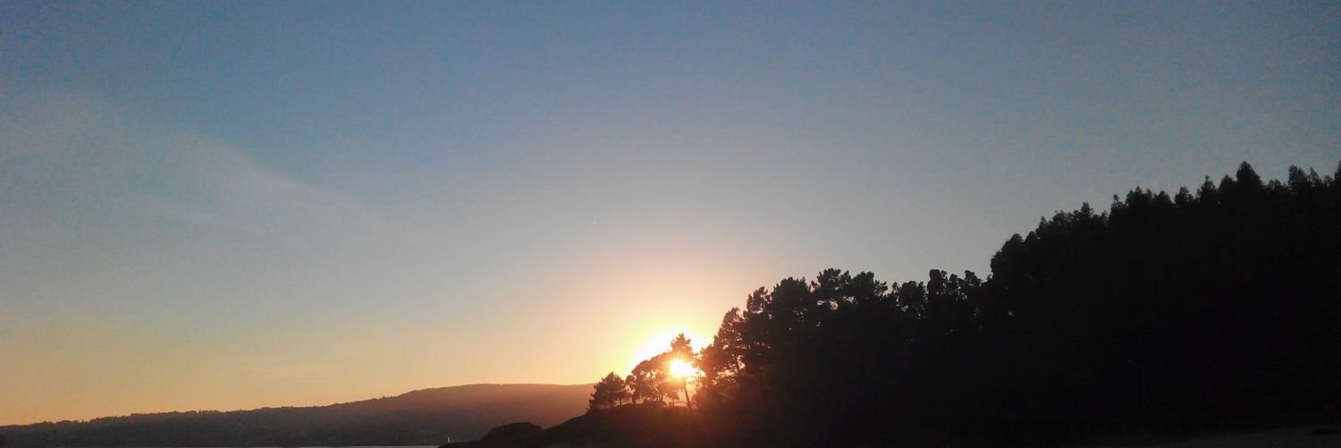 Miss_Suka's profile banner image