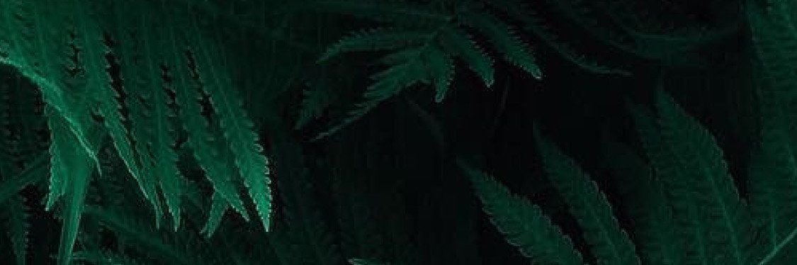 Crypto_Lurkin's profile banner image
