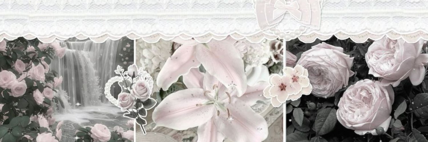 ✩ banner