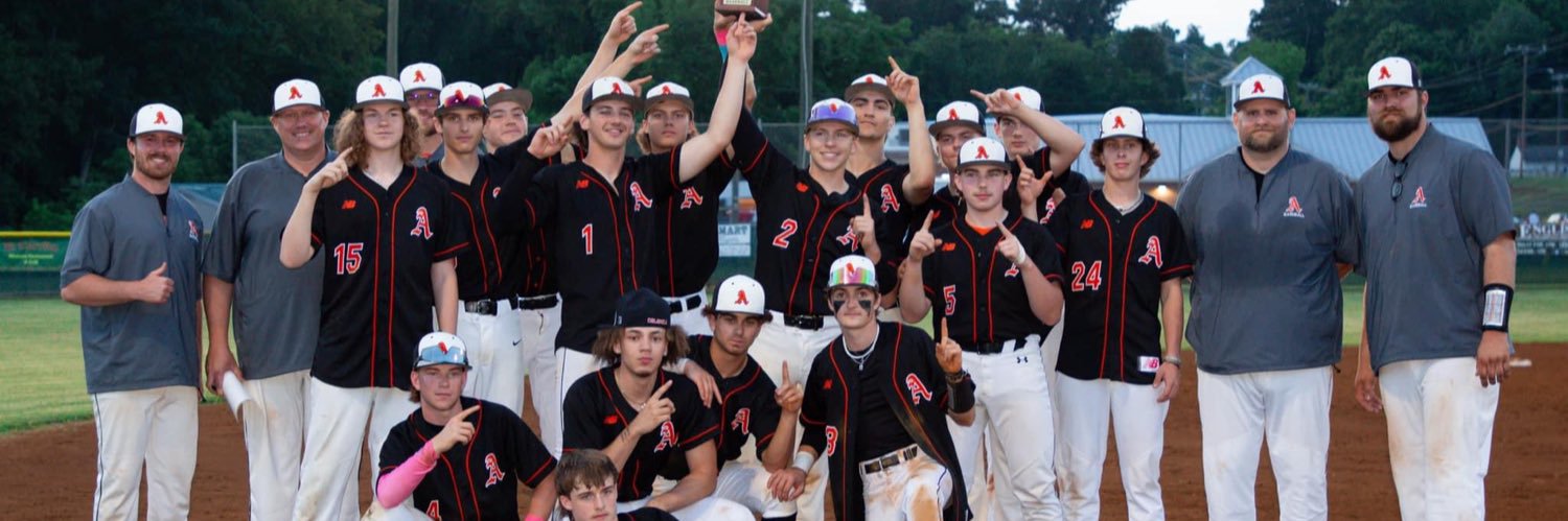 Altavista Colonels Baseball banner