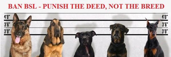 saveseizeddogs Profile Banner