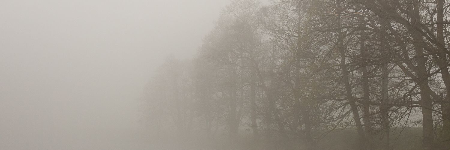 dew banner