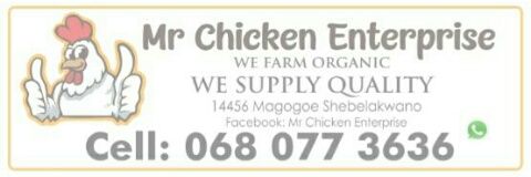 Leshomo Thabang's banner