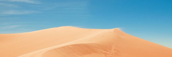co__ho Profile Banner