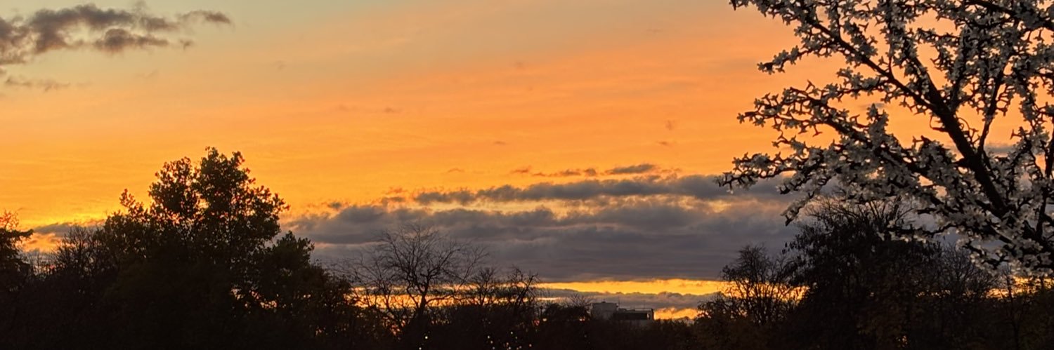 Lauranne_Slnt's profile banner image