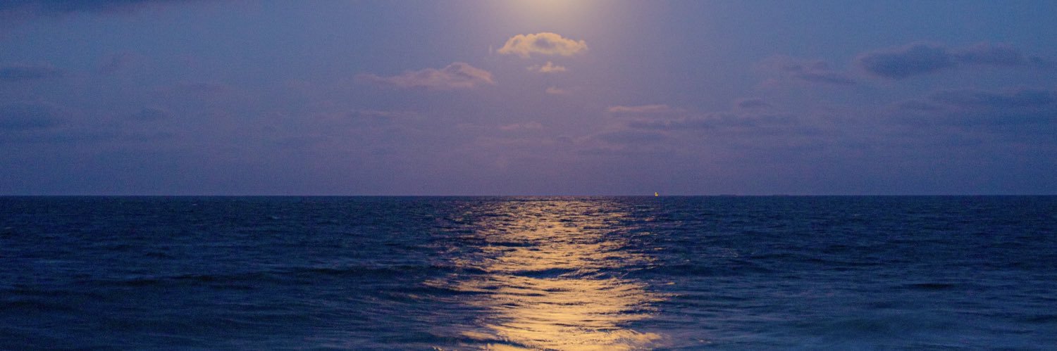 xicote__'s profile banner image