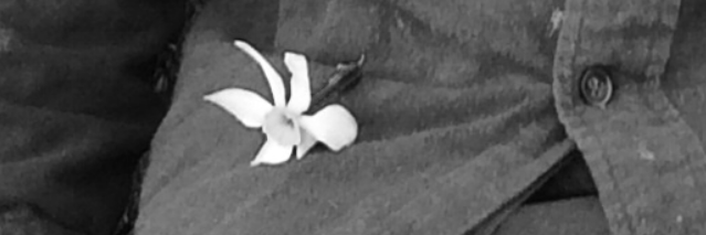 SeminoleStrut's profile banner image