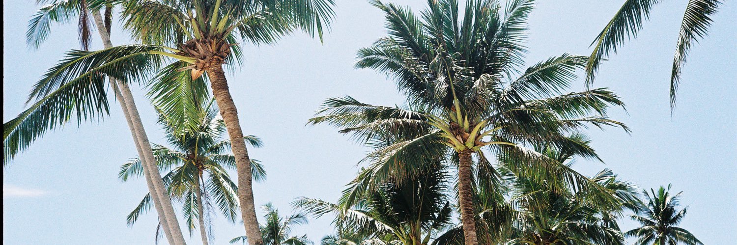 jemschu's profile banner image