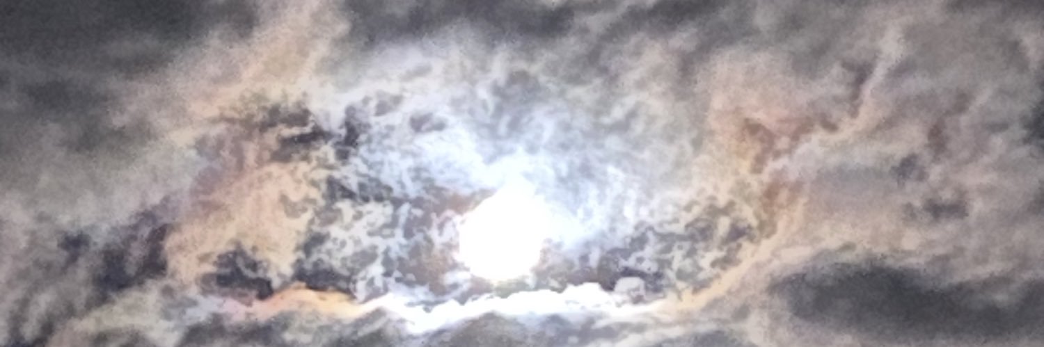 Steve Curry banner